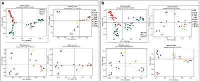 Exploring the digesta- and mucosa-associated microbial community dynamics in the rumen and hindgut of goats from birth to adult